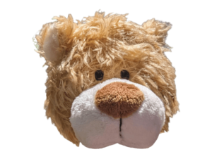 Kopf von Bruno